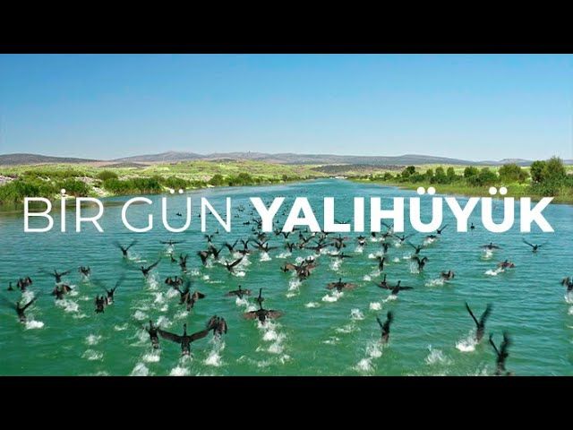 Seydişehir-Yalıhüyük Turu